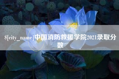 温岭中国消防救援学院2021录取分数