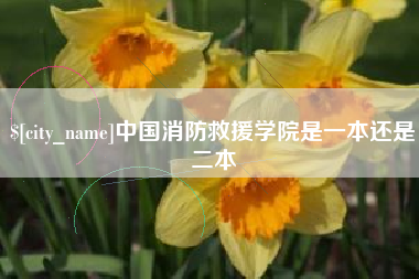 温岭中国消防救援学院是一本还是二本