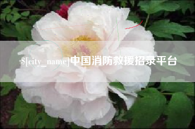 温岭中国消防救援招录平台