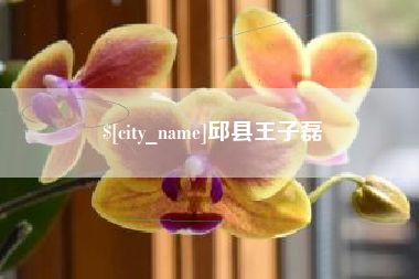 温岭邱县王子磊