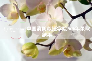温岭中国消防救援学院2020年录取结果