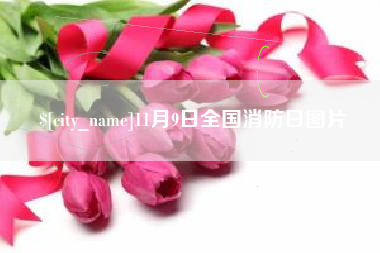 温岭11月9日全国消防日图片
