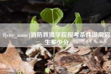 温岭消防救援学院报考条件湖南招生多少分
