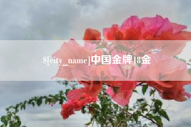 温岭中国金牌18金