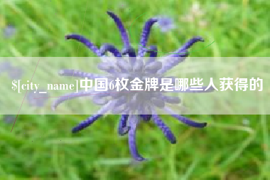 温岭中国6枚金牌是哪些人获得的