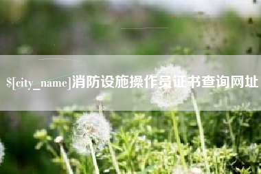 温岭消防设施操作员证书查询网址