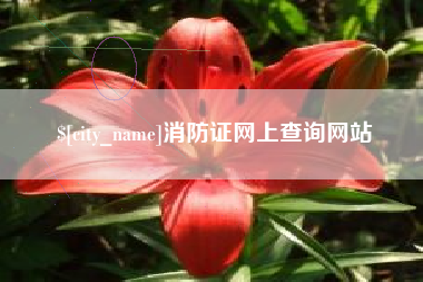 温岭消防证网上查询网站