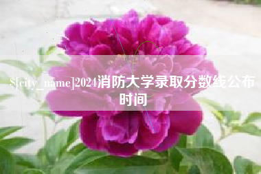 温岭2024消防大学录取分数线公布时间