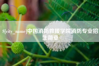 温岭中国消防救援学院消防专业招生简章