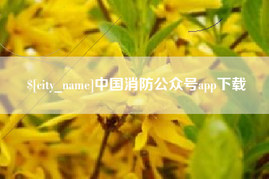 温岭中国消防公众号app下载