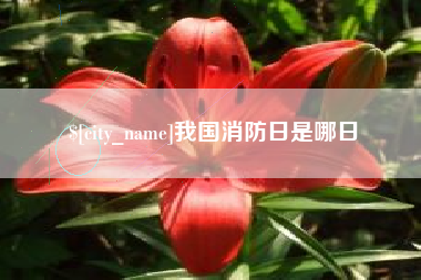 温岭我国消防日是哪日
