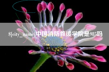 温岭中国消防救援学院是985吗