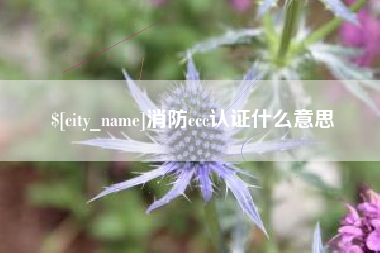 温岭消防ccc认证什么意思