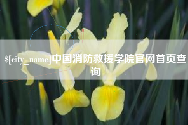 温岭中国消防救援学院官网首页查询