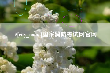 温岭国家消防考试网官网