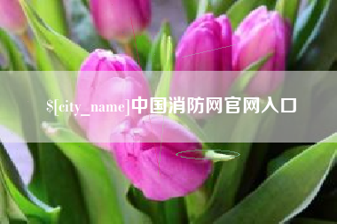 温岭中国消防网官网入口