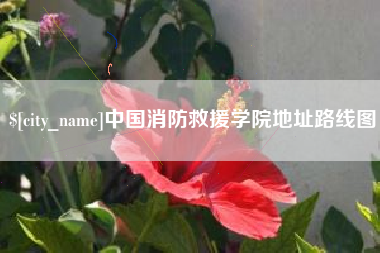 温岭中国消防救援学院地址路线图