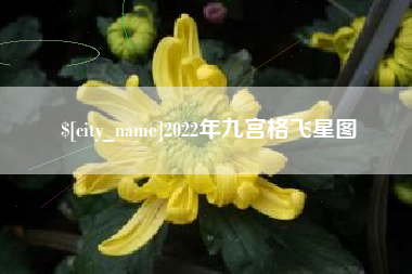温岭2022年九宫格飞星图