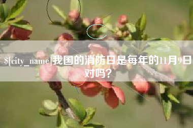 温岭我国的消防日是每年的11月9日对吗？