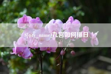 温岭九宫如何排日
