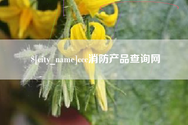 温岭ccc消防产品查询网