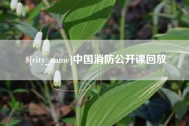 温岭中国消防公开课回放