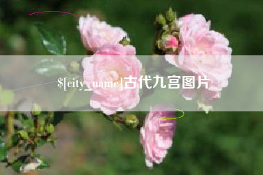 温岭古代九宫图片