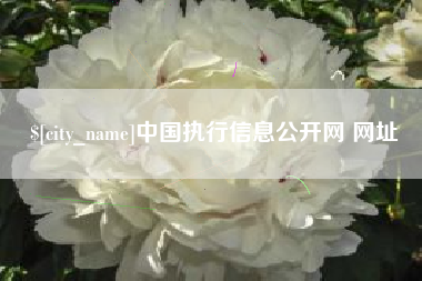 温岭中国执行信息公开网 网址