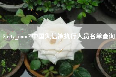 温岭中国失信被执行人员名单查询