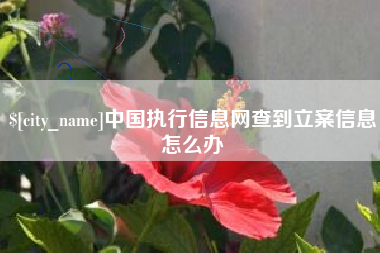 温岭中国执行信息网查到立案信息怎么办