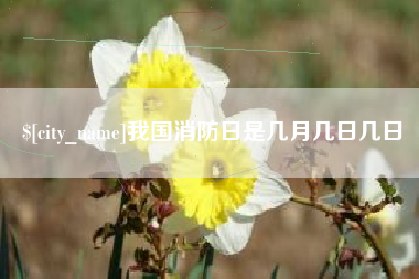 温岭我国消防日是几月几日几日