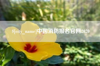 温岭中国消防报名官网2020