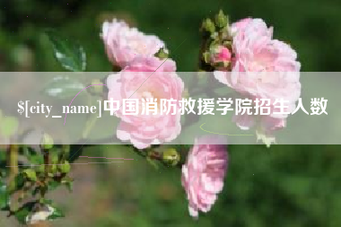 温岭中国消防救援学院招生人数