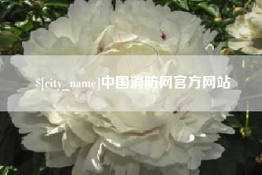 温岭中国消防网官方网站