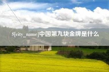 温岭中国第九块金牌是什么