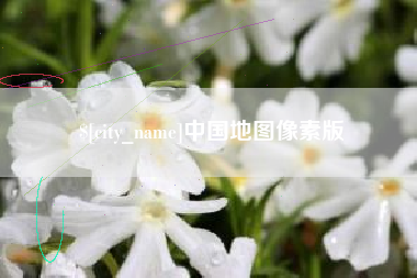 温岭中国地图像素版