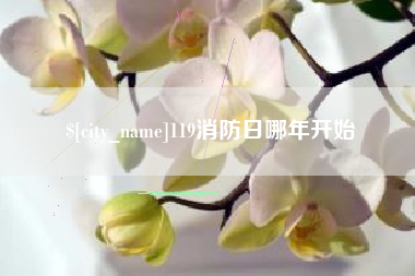 温岭119消防日哪年开始
