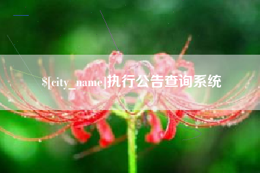 温岭执行公告查询系统