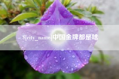 温岭中国金牌都是啥