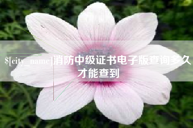 温岭消防中级证书电子版查询多久才能查到