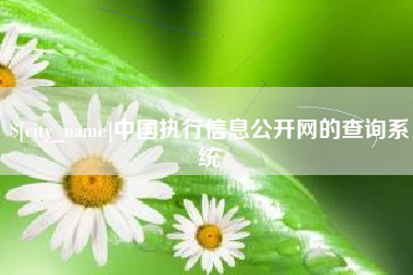 温岭中国执行信息公开网的查询系统