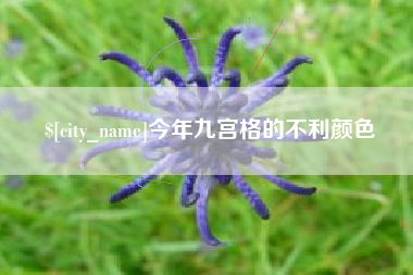 温岭今年九宫格的不利颜色