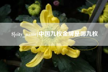 温岭中国九枚金牌是哪九枚