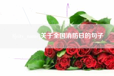 温岭关于全国消防日的句子