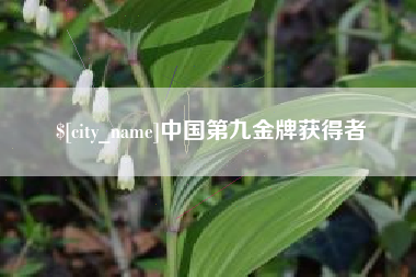 温岭中国第九金牌获得者