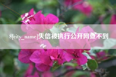 温岭失信被执行公开网查不到