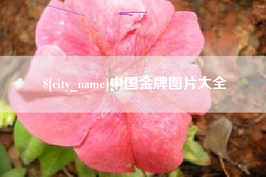 温岭中国金牌图片大全