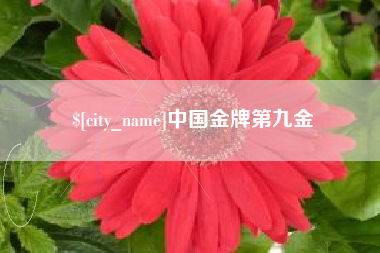 温岭中国金牌第九金