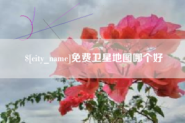 温岭免费卫星地图哪个好