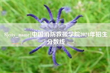 温岭中国消防救援学院2024年招生分数线